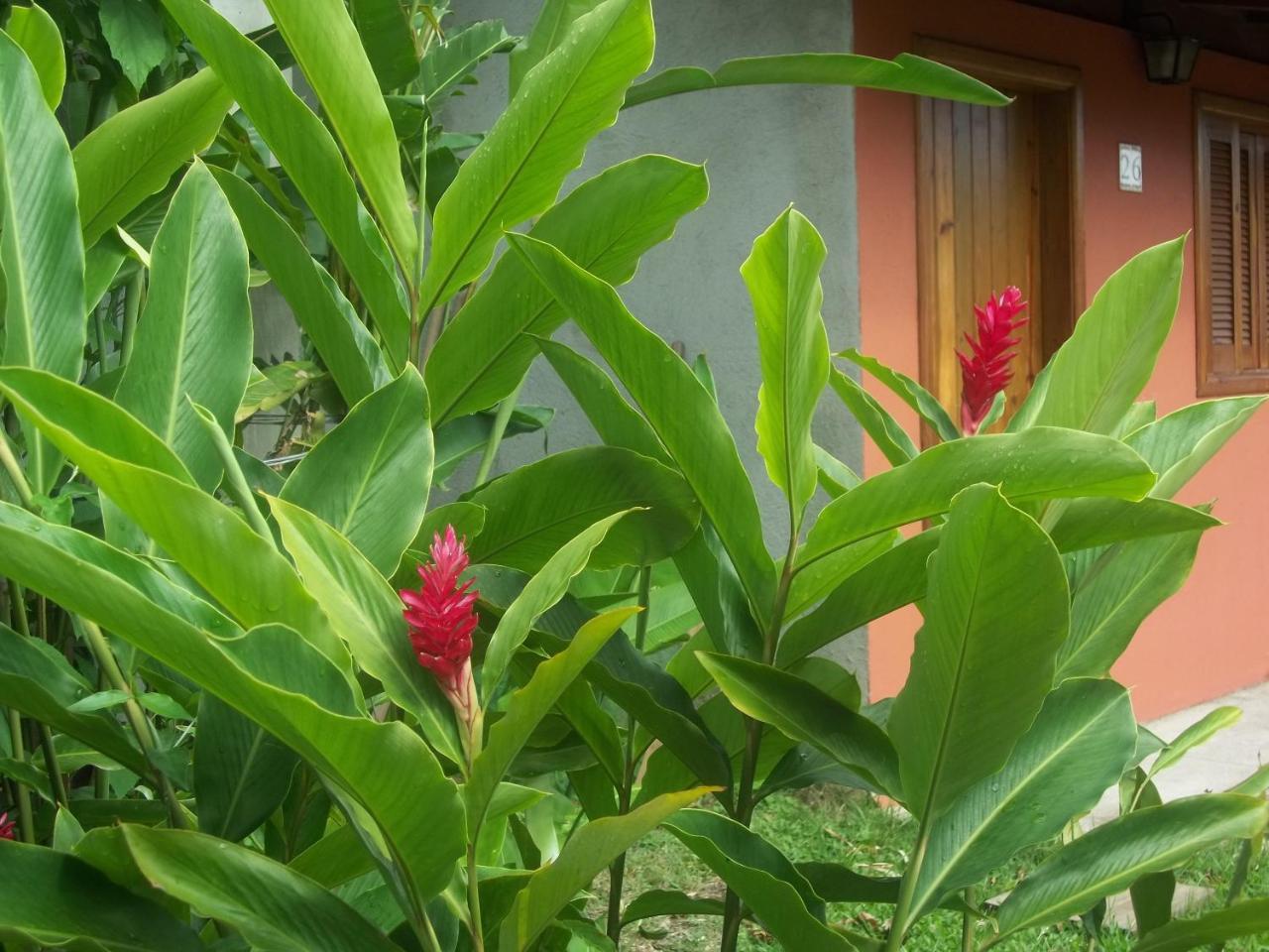 Pousada Das Maritacas Ilhabela Exterior photo